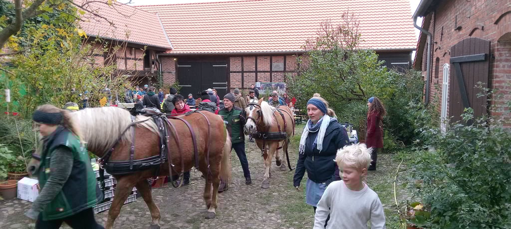 Mit dem Planwagen zur Mutterkuhherde: Am Tag der Regionen können Besucher des Hoffestes beim Galloway-Zuchtbetrieb ökologische Landwirtschaft hautnah erleben.