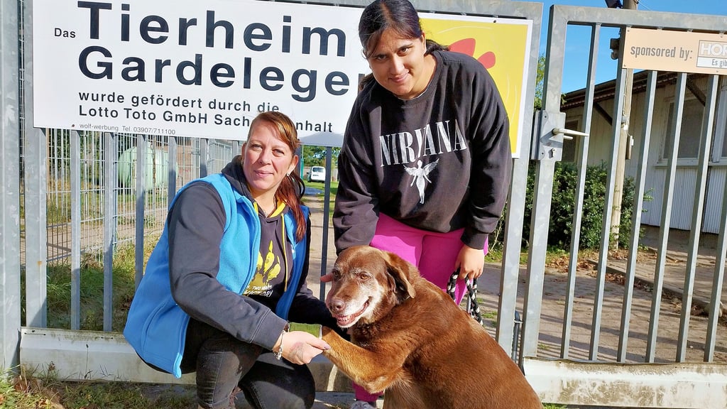 Tierheimleiterin Sarah Gränert von Ahnen (links) hatte für einen Tag mit der Werkstattbeschäftigten Marie Mumm eine neue Mitarbeiterin.