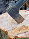 Wer in der Einheitsgemeinde Klötze einen Baum ohne Genehmigung fällt, muss Strafe zahlen Euro büßen. 