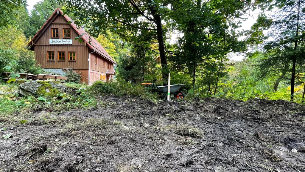 Wildschweine haben das Gelände des Deutschen Alpenvereins Wernigerode in Schierke verwüstet.