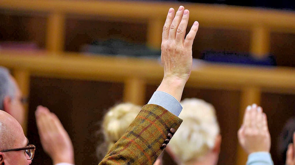 Die AfD findet keine Mehrheit für ihren Kandidaten im Jugendhilfeausschuss.