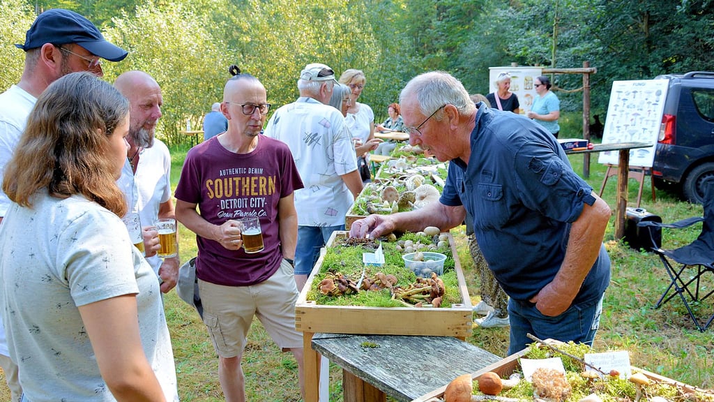 Gerhard Schnüber (rechts) ist beim Klötzer Waldtag auch immer mit einem Stand vertreten und erklärt den Besuchern alles über Pilze.