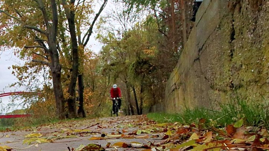 Auch im Herbst schön, der Saaleradweg in Calbe.