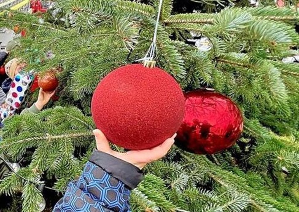 Der diesjährige Weihnachtsbaum in Meisdorf ist sicher. Geschmückt wird er wie immer von der Kita.