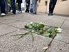Mit Rosen und blankgeputzten Stolpersteinen machen die Schüler des Magdeburger Hegelgymnasiums auf die Schicksale jüdischer Personen aufmerksam.