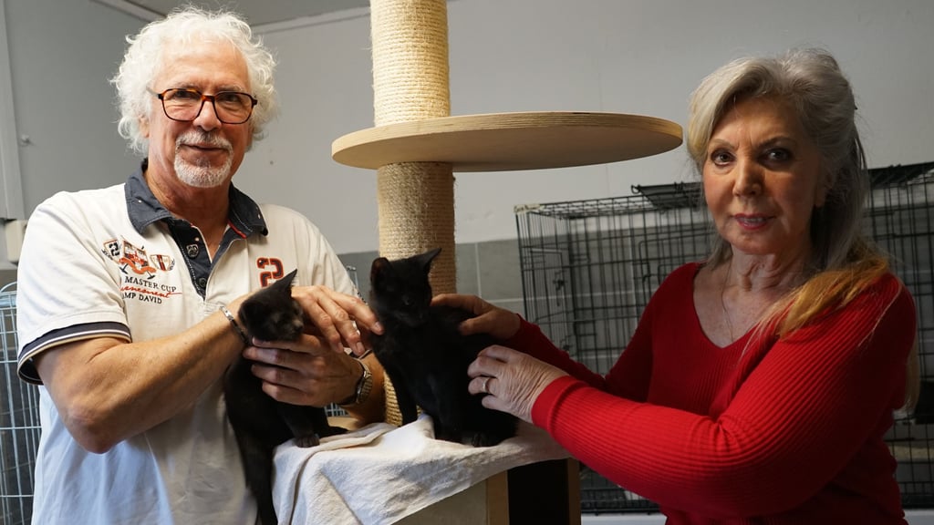 Die kleinen Katzen sind wieder gesund. Dazu haben auch die vielen Spenden beigetragen, betonen Otfried Müller und Marlies Müller.