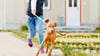 Der Hund bestimmt, wo es langgeht? Mit ein paar einfachen Tricks lässt sich der Spieß umdrehen.