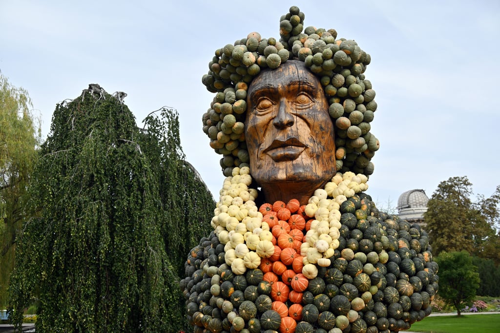 Hunderte Kürbisse wurden für eine Beethoven-Büste zusammengefügt. Die Skulptur ist Teil der traditionellen Kürbisausstellung im egapark. Die Ausstellung ist bis 31. Oktober 2025 geöffnet.