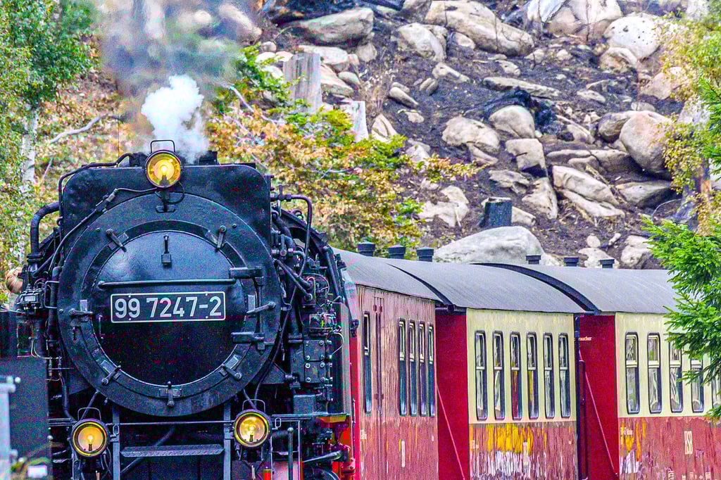 Die traditionsreichen Harzer Schmalspurbahnen sind in schwere finanzielle Turbulenzen geraten.