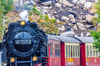 Die traditionsreichen Harzer Schmalspurbahnen sind in schwere finanzielle Turbulenzen geraten.