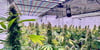 Cannabis Social Club Könnern Gerlebogk Bernburg Christopher Reckrühm