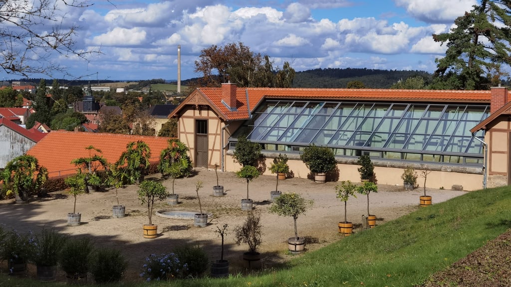 Blick auf die Orangerie des Blankenburger Terrassengartens am Kleinen Schloss.
