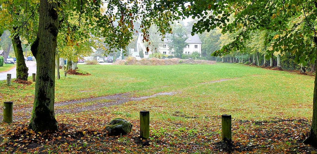 Der Lindenplatz wurde als Standort ausgewählt.
