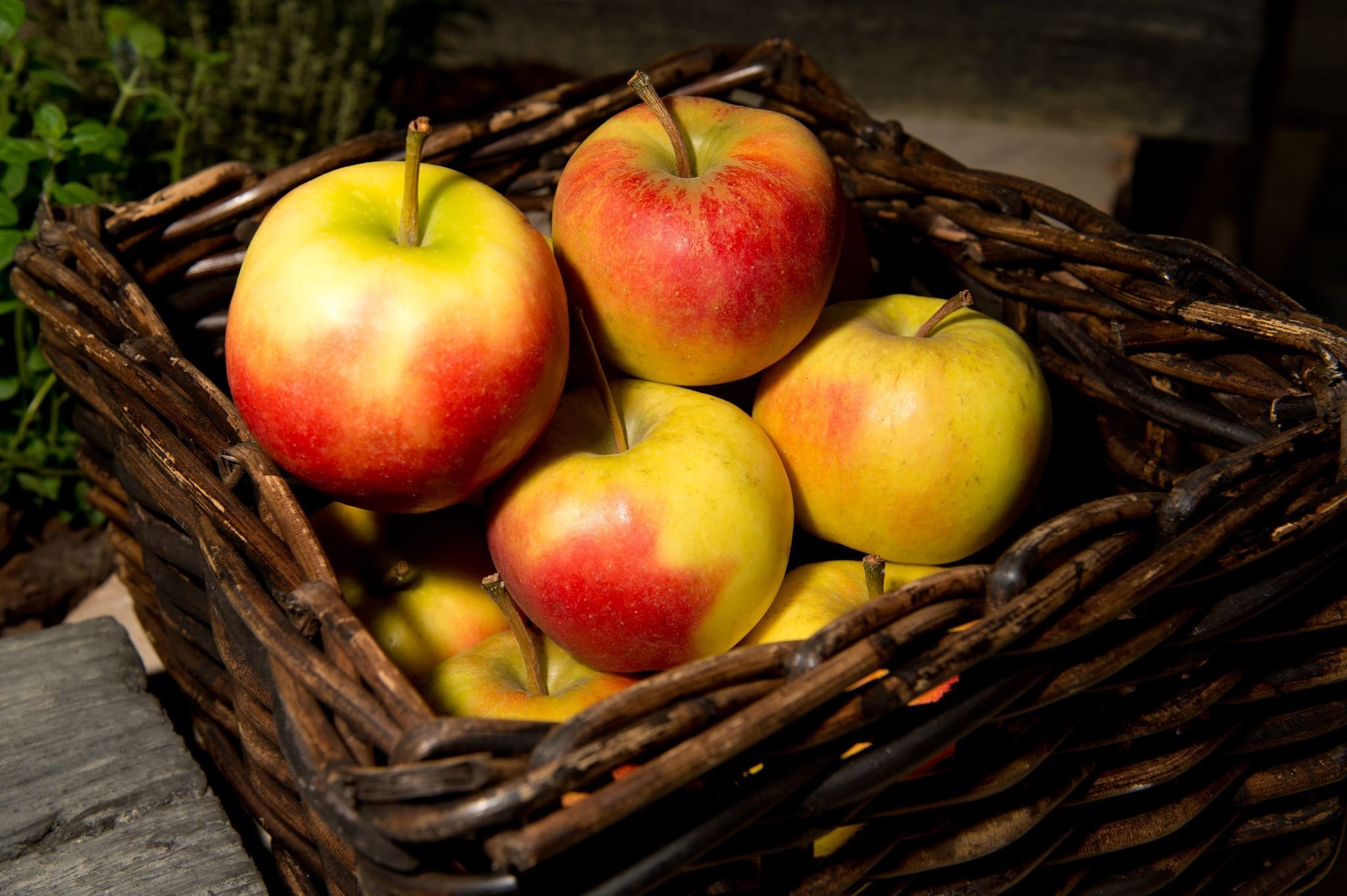Herbsternte: So bleiben Äpfel und Birnen im Winter knackig Herbsternte: So bleiben Äpfel und Birnen im Winter knackig