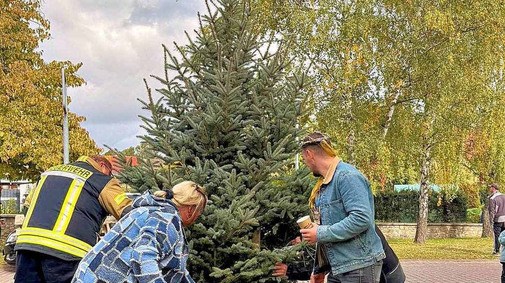 Gemeinsam wird hier die Blaufichte in Kleinmühlingen gepflanzt. Sie soll in der Weihnachtszeit für fesliche Stimmung sorgen.