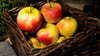 Äpfel lagern besser nicht neben anderem Obst - sie sondern ein Gas ab, durch das Früchte in ihrer Nähe schneller verderben.