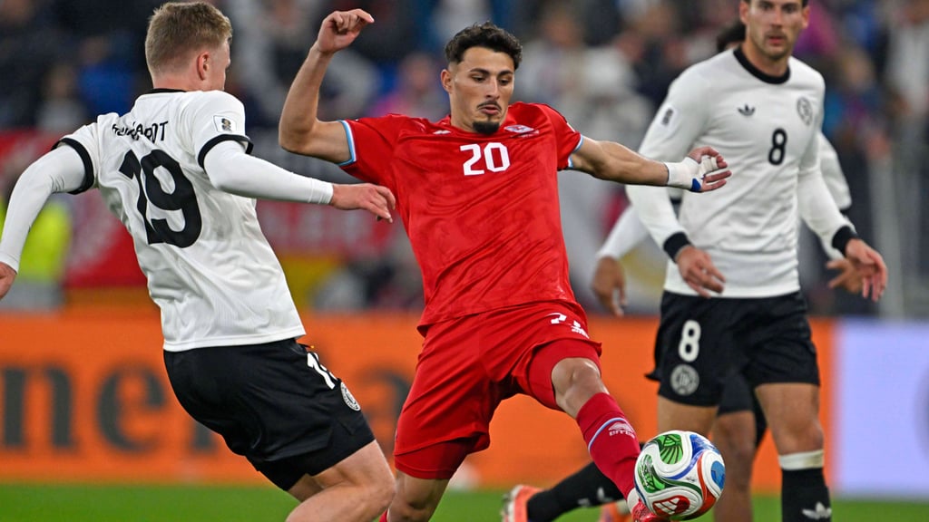 Zu Spielbeginn stand Eldin Dzogovic nicht auf dem Rasen, doch das änderte sich nachher.