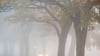 Bei plötzlich auftauchendem Nebel sollten Fahrer Tempo rausnehmen und den Abstand zum Vordermann vergrößern.
