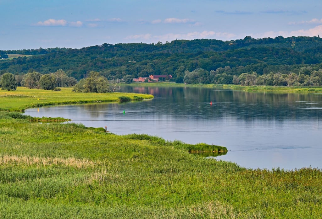 Der Nationalpark Unteres Odertal - eine geschützte Flussauenlandschaft im Nordosten von Brandenburg - besteht seit 30 Jahren. (Archivbild)