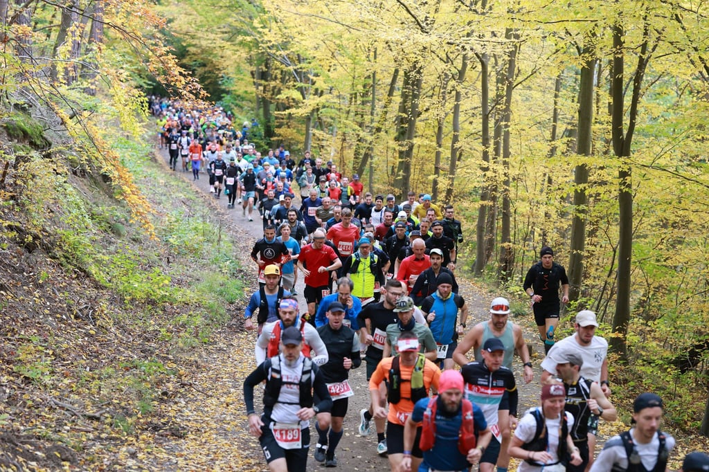 So viele Läuferinnen und Läufer wie seit acht Jahren nicht mehr hatten sich beim 47. Harz-Gebirgslauf angemeldet.