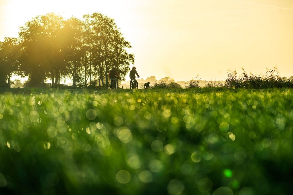 Mildes Herbstwetter für die kommenden Tage prognostiziert der DWD - die Sonne bleibt aber rar.