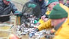 Karpfen gehören zur den Süßwasserfischen, die in Thüringen für den Verkauf herangezogen werden.