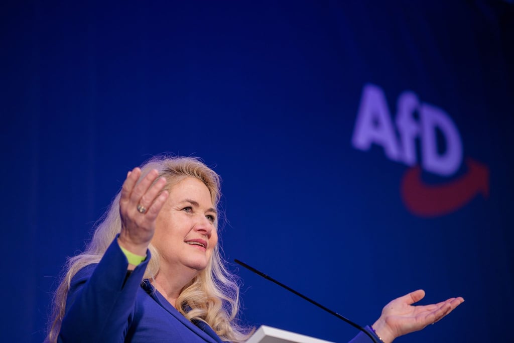 Die Berliner AfD-Landes- und Fraktionsvorsitzende Kristin Brinker war schon 2021 und 2023 Spitzenkandidatin ihrer Partei bei Wahlen zum Abgeordnetenhaus. (Archivbild)
