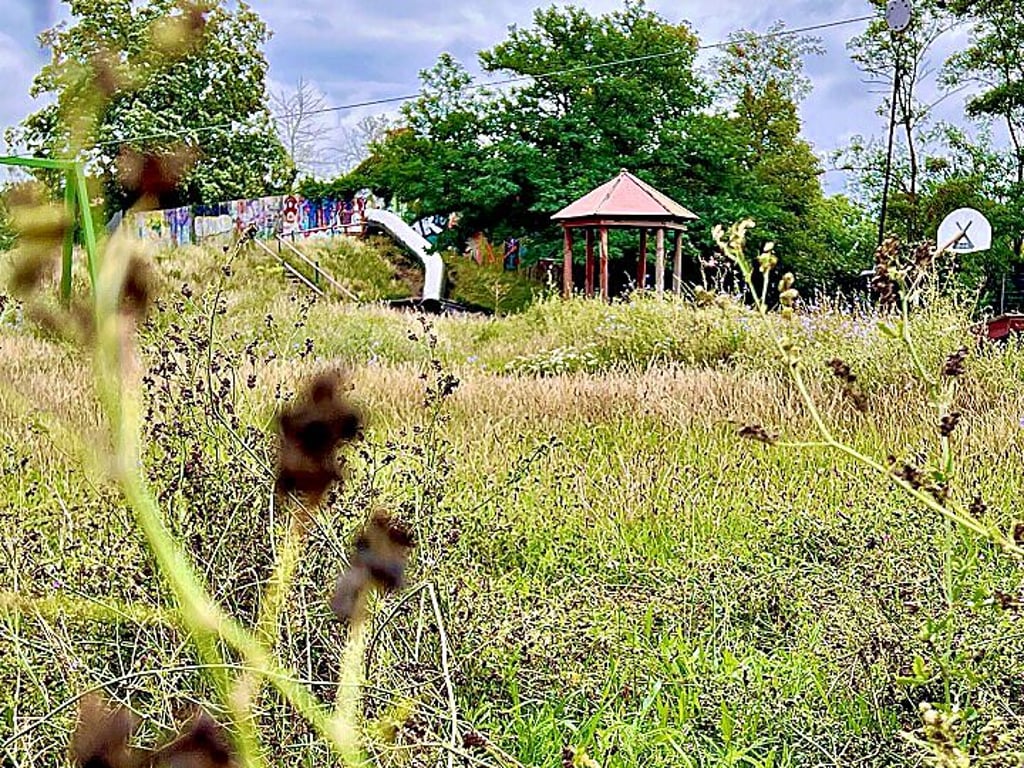 Unter anderem auf dem Bernburger Spielplatz „Anton“ soll gedreht werden.