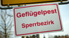 In einem Betrieb in Brandenburg wurde Geflügelpest festgestellt. (Symbolbild)