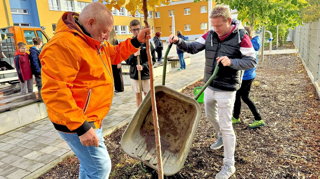 Thomas Felber (orangefarbene Jacke) und Sven Gresens vom Schulförderverein setzen am Freitagmorgen den Baum ein.