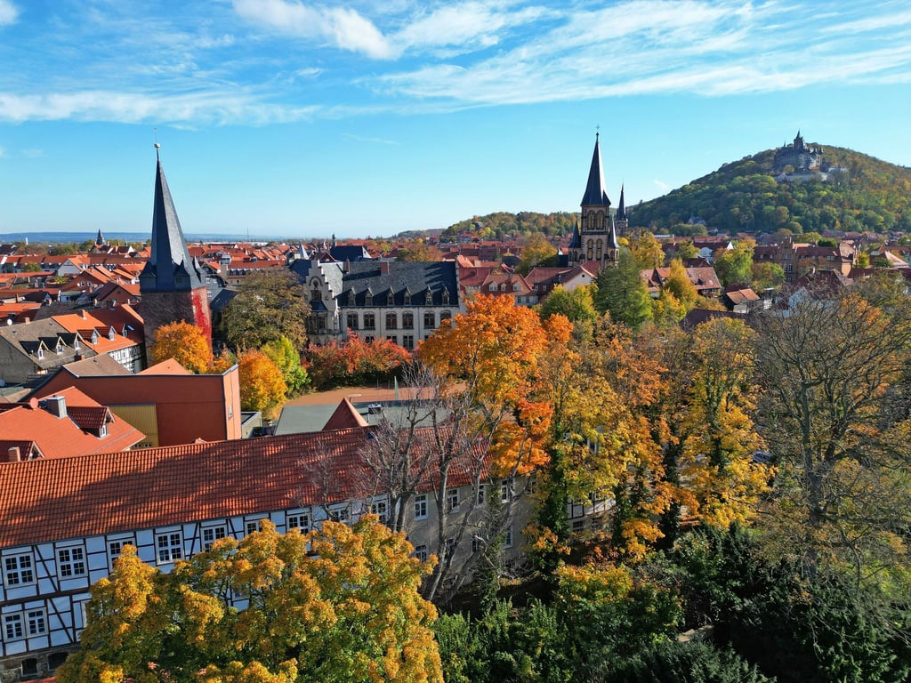 Besonders in größeren Städten haben Urlauber in Sachsen-Anhalt schon viel gebucht. (Archivbild)