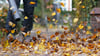 Im Herbst müssen Straßen und Gehwege von Laub befreit werden.