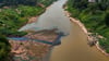 Der Amazonas gehört zu den gefährdeten Systemen.