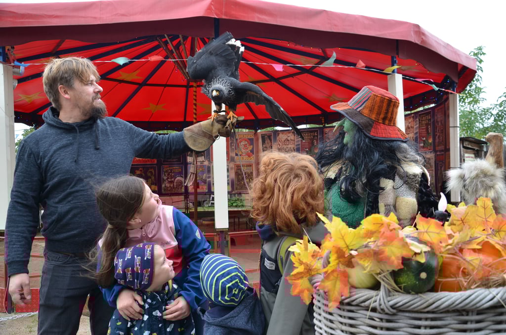 Janko Behring mit seinem Falkland-Cara-Cara und Hexe Katharina waren begehrte Akteure und Animateure beim Kürbisfest auf dem Hof der Klugen Tiere in Atzendorf.