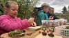 Beim Familienfest im Ökogarten konnten auch lustige Kastanientiere gebastelt werden.