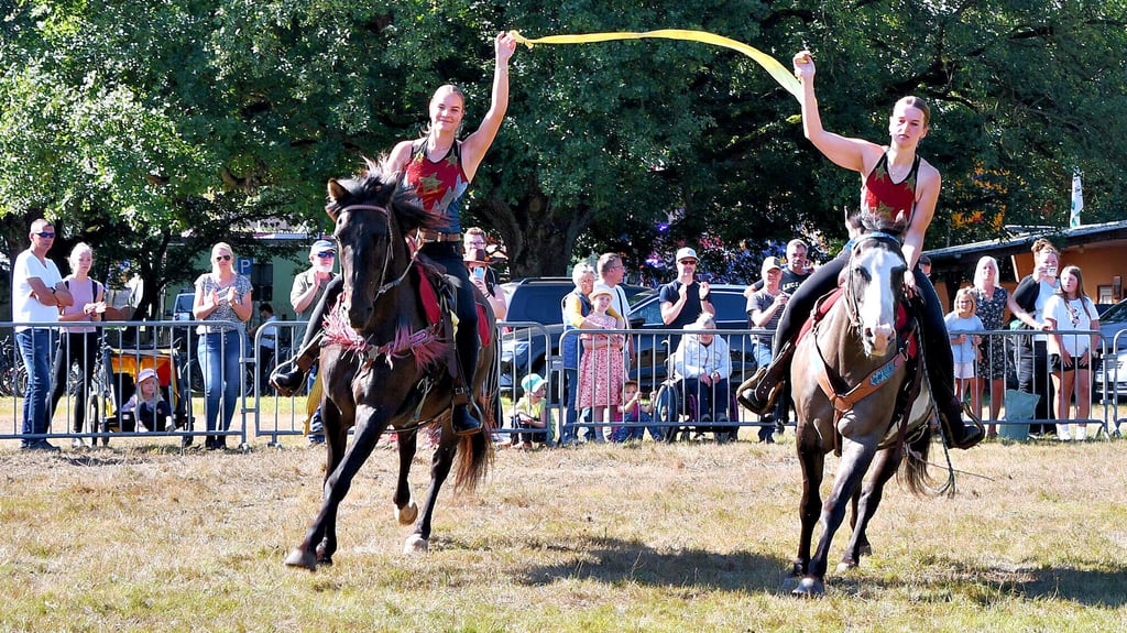 In Havelberg wird diskutiert, wie es gelingt, den Pferdemarkt weiterhin ohne Defizit zu finanzieren. Dabei steht die Frage, ob der Markt so bleibt, wie er ist. Zum Programm gehören alljährlich die Pferdeshows der Comanchen.