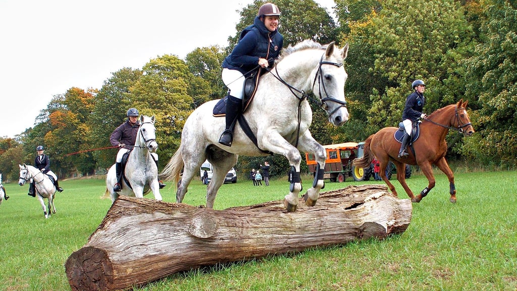 Der Reit- und Fahrverein Havelberg hatte zur 43. Reitjagd eingeladen. Beim Springen über die Hindernisse, hier Franziska Beck auf ihrem „Lary“, gab es von den Zuschauern viel Applaus. 