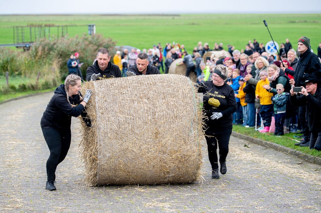 Zu viert wird der rund 200 Kilogramm schwere Strohballen gerollt.