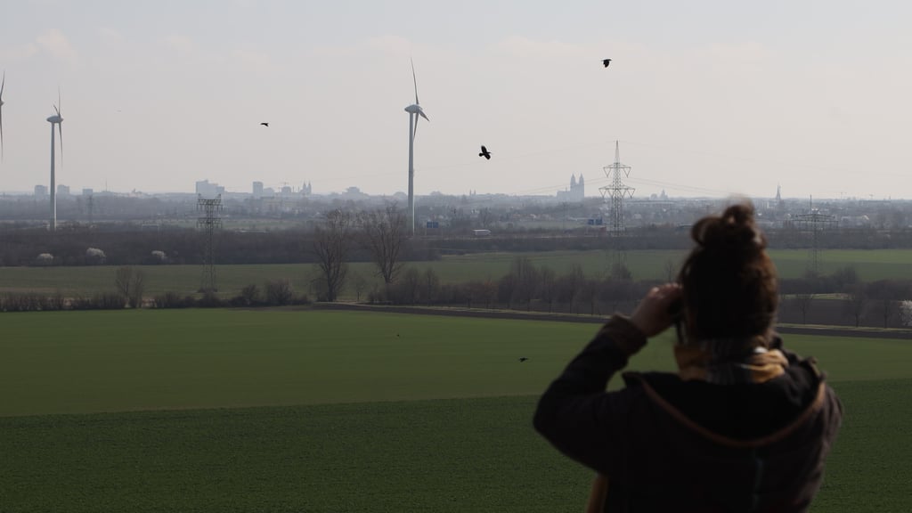 Zwei der acht Windräder auf der Gemarkung Ebendorf der Gemeinde Barleben werden rückwirkend zum 1. Januar 2025 Geld in die Kasse der Niederen Börde einspielen.