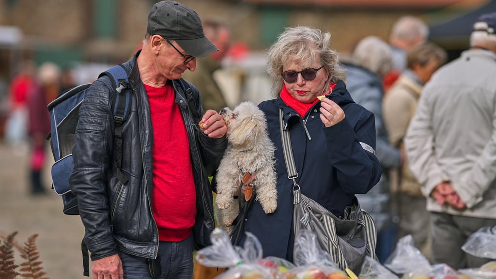 Silke, Maik und Hund Casper aus Magdeburg verkosten Äpfel auf dem Schlosshof in Hundisburg auf den Obsttagen.