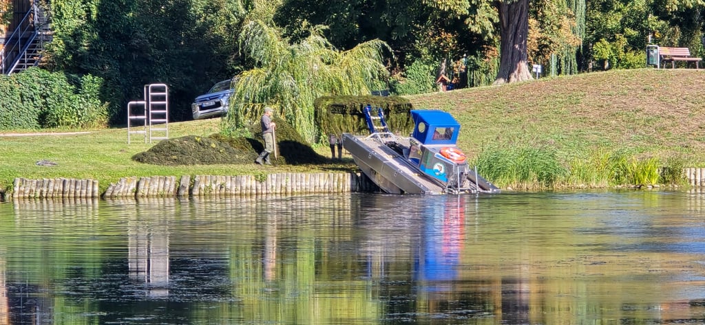 Ein Tuxor-Mähboot wurde eingesetzt, um den Stadtsee in Stendal zu entkrauten. Das Gewässer enthält zu viele Nährstoffe, was es Fischen schwierig macht, dort zu überleben.