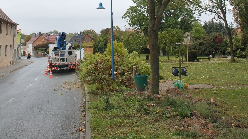 Baumfällungen am Friedhof in Schiepzig