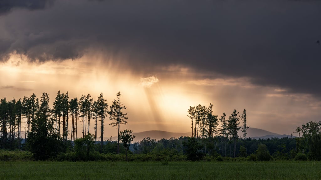 Das Wetter in Sachsen-Anhalt bleibt auch Mitte Oktober grau und wolkenverhangen.