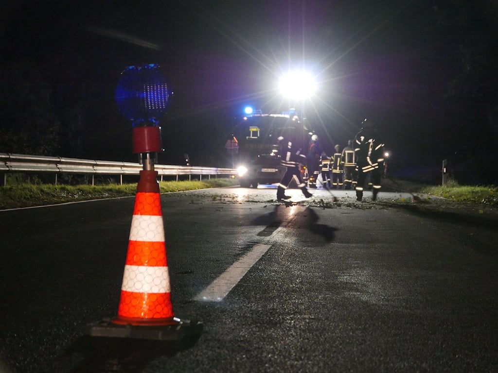 Beide Autofahrer werden verletzt, zwei Rinder sterben. (Symbolbild)