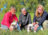 Tanja Schützenmeister (links) und Tochter Lene aus Rohrsheim (Harzkreis) mit „Caprice“ und „Nikita“; auch Tierheim-Mitarbeiterin Annegret Riffert (Mitte) hofft, beide Englischen Bulldoggen in Familien abgeben zu können.