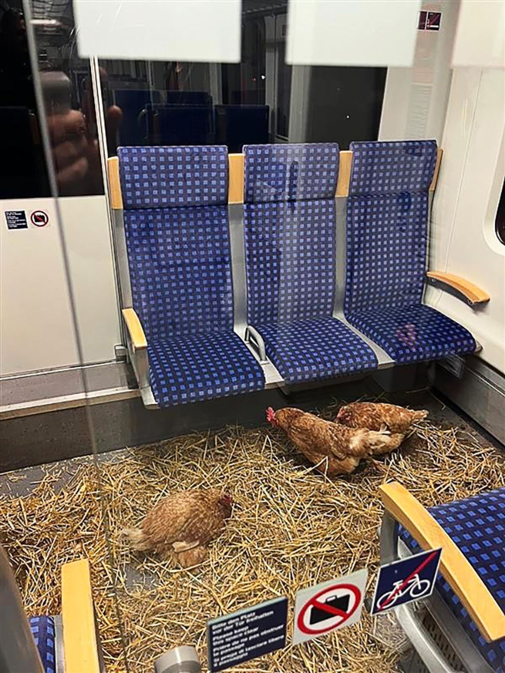 „Die Eier sind 1. Klasse“, schrieb die Deutsche Bahn auf Instagram zu den zurückgelassenen Hühnern.