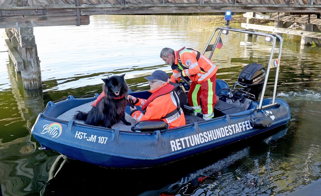 Spürhunde haben laut Polizei auf dem Inselsee am Stadtrand von Güstrow angeschlagen. Am Dienstagmorgen sollen Taucher in dem Bereich zum Einsatz kommen.