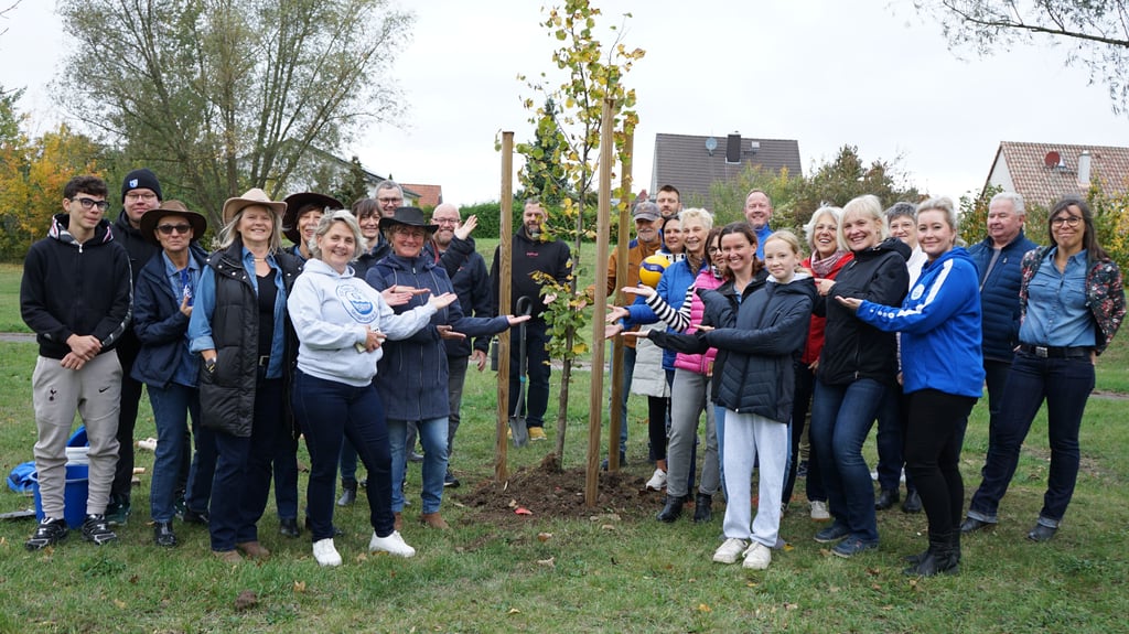 Die Sportler des Blau-Weiß Elbe Glindenberg haben eine Linde auf den Spielplatz gepflanzt.