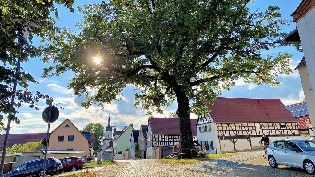 Seit über 130 Jahren prägt die Stiel-Eiche in der Hauptstraße das Ortsbild von Aylsdorf. Als Naturdenkmal, Treffpunkt und liebevoll geschmückte Ruheoase ist sie fest im Leben der Dorfgemeinschaft verankert – ein Ort voller Geschichte, Erinnerungen und Heimatgefühl.
