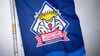 Die Fischtown Pinguins haben ihr letztes Gruppenspiel in der Champions League verloren
